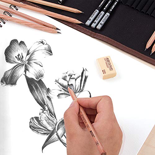 Cooja Drawing Pencils Set Art Supplies, 29 PCS Artist Sketching Pencils Sketch Kit with Graphite Charcoal Pencils Eraser Tortillon Canvas Roll up Pencil Case, Drawing Tools for Beginners Kids Adults