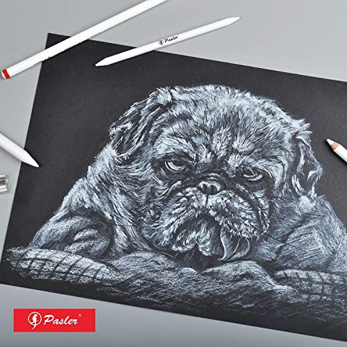 Pasler white charcoal pencils kit- 3 different grades soft,medium,hard and a sharpener,great for make you carbon sketches contrast better and highlight the highlights (set of 4)