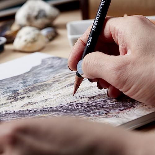 Derwent Tinted Charcoal Drawing Pencils, Set of 12, Watersoluble, Professional Quality, 2301690