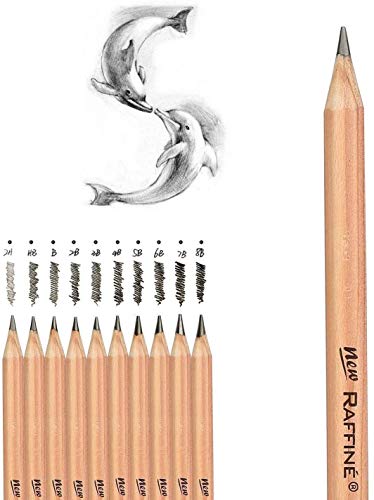 Heshengping Sketch Drawing Pencil Set for Beginners Children Kids Teens Adults Artists Art Supplies Artist Sketch Kit Canvas Roll up Pencil Case with Pencils Charcoal Pencils and Accessories