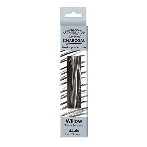 Winsor & Newton Willow Charcoal Thin Sticks, Grey, 24 Count (Pack of 1)