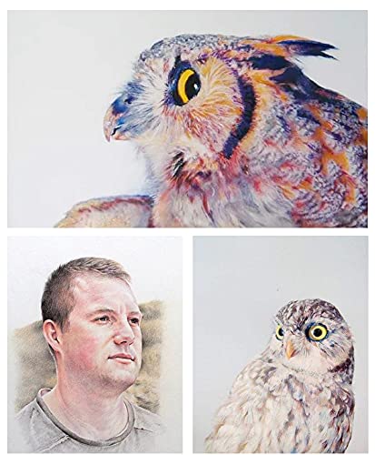 12 Pack Professional Charcoal Coloured Pencil Set White Black Brown Tinted Sketch Pencils Drawing Set Art Painting Supplies Pencils for Drawing, Sketching, Shading Chalk Pencils for Beginner & Artist