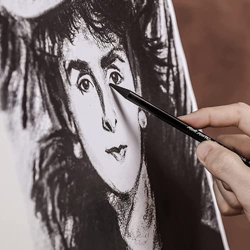 MINIEASE Charcoal Pencils For Drawing Perfect For Beginners, Professionals And Artists (3)