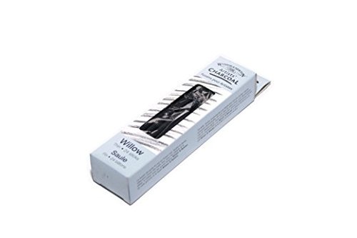 Winsor & Newton Willow Charcoal Thin Sticks, Grey, 24 Count (Pack of 1)