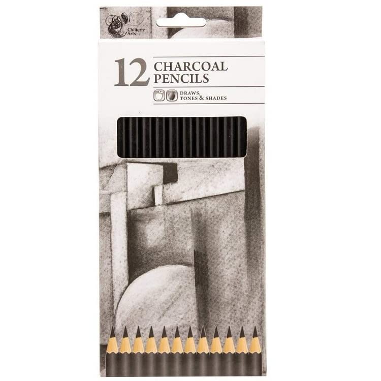 12 Pieces Professional GradedCharcoal Drawing Pencil for Artists Beginners Students Adults Kids Uses, Art & School Supplies (Charcoal Pencils)