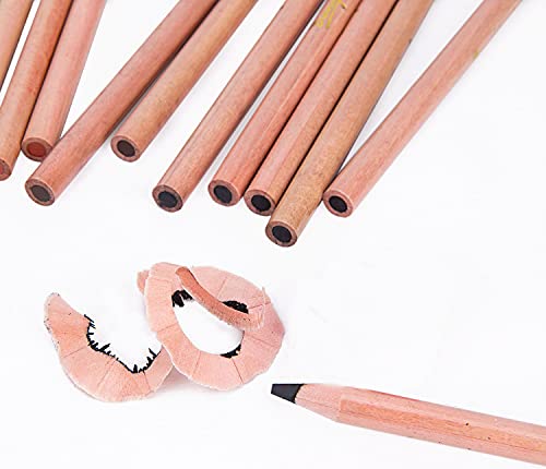 12 Pack Professional Charcoal Coloured Pencil Set White Black Brown Tinted Sketch Pencils Drawing Set Art Painting Supplies Pencils for Drawing, Sketching, Shading Chalk Pencils for Beginner & Artist