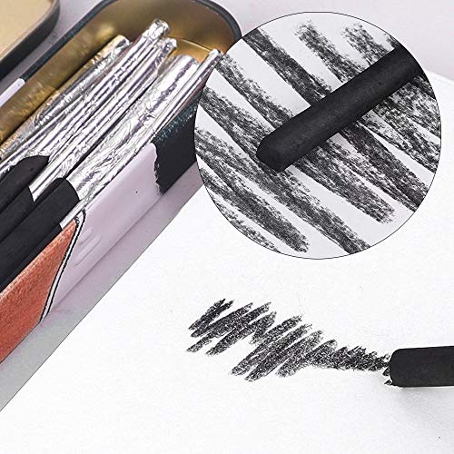 NA 10 Pcs Artist Charcoal Sticks Black Willow Charcoal Drawing Pencils with Metal Box for Kids Adults Beginners Professionals