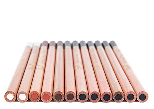 12 Pack Professional Charcoal Coloured Pencil Set White Black Brown Tinted Sketch Pencils Drawing Set Art Painting Supplies Pencils for Drawing, Sketching, Shading Chalk Pencils for Beginner & Artist