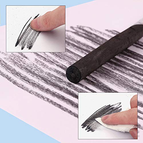 NA 10 Pcs Artist Charcoal Sticks Black Willow Charcoal Drawing Pencils with Metal Box for Kids Adults Beginners Professionals