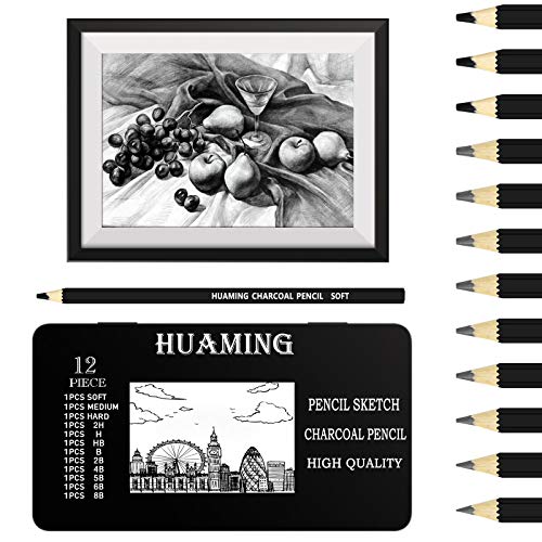 BROTOU 12Pcs Professional Sketch and Drawing Pencils Set, 2H H HB B 2B 4B 5B 6B 8B and 3Pcs Charcoal Art Pencils for Kids Adults Artists and Beginners