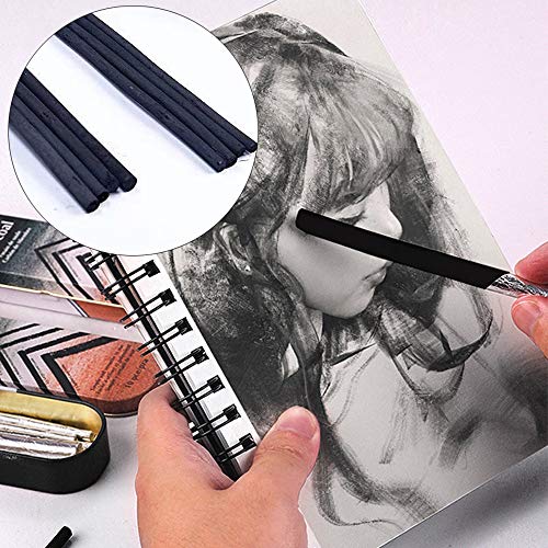 NA 10 Pcs Artist Charcoal Sticks Black Willow Charcoal Drawing Pencils with Metal Box for Kids Adults Beginners Professionals