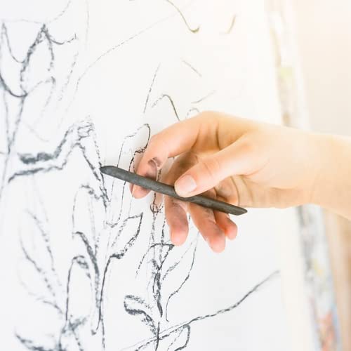 MINIEASE 25 Pcs Charcoal Drawing Pencils Willow Charcoal Sticks Graphite Sticks for Artists for Professionals Students and Hobbyists 3-5mm (millimeters, 5-8mm) (millimeters, 3-5mm)