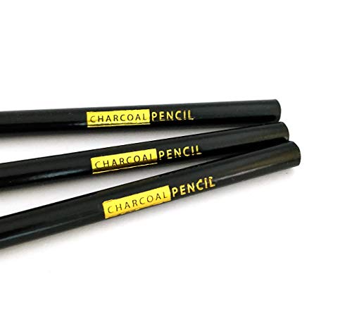 24 x Premium Charcoal Pencils for Drawing, Sketching and Art