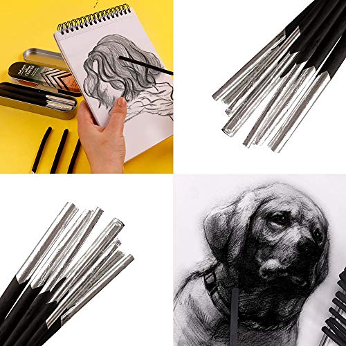 NA 10 Pcs Artist Charcoal Sticks Black Willow Charcoal Drawing Pencils with Metal Box for Kids Adults Beginners Professionals