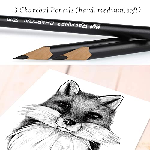 Coolzon Drawing Sketching Pencils Set, 29 pcs Artist Pencil Set with Sketch Pencils Charcoal Pencils Graphite Pencil in Canvas Bag, Art Supplies Kit for Sketching and Drawing