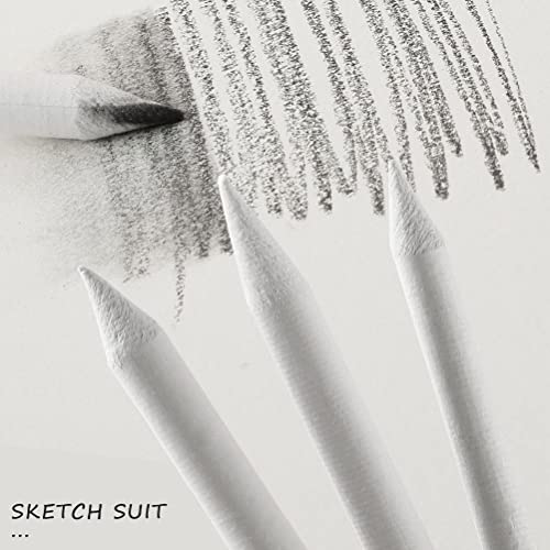 12 Pcs Blending Stumps and Tortillions Set, Sketch Drawing Tools, Art Blenders for Art Drawing Sketching Artist DIY