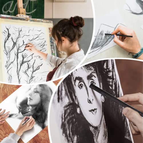 MINIEASE 25 Pcs Charcoal Drawing Pencils Willow Charcoal Sticks Graphite Sticks for Artists for Professionals Students and Hobbyists 3-5mm (millimeters, 5-8mm) (millimeters, 3-5mm)