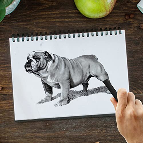 12 Pieces Graphite Material Sticks with 3 Blending Stumps, Square Compressed Charcoal Sticks Drawing Pencils Set for DIY Drawing Crafts, Sketching, Shading, Beginners and Artists