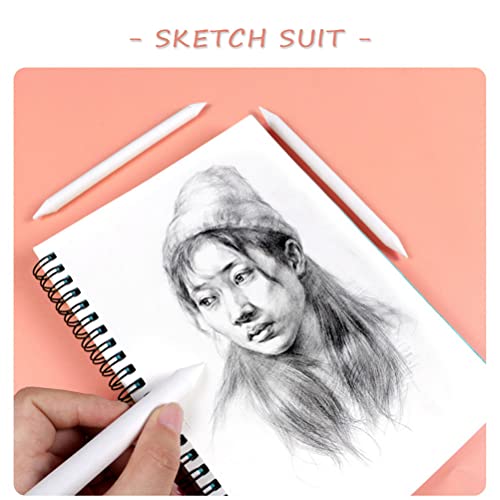 12 Pcs Blending Stumps and Tortillions Set, Sketch Drawing Tools, Art Blenders for Art Drawing Sketching Artist DIY