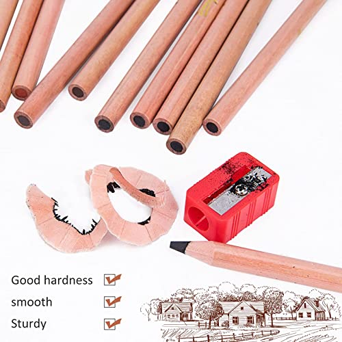 12Pcs Coloured Charcoal Pencil Set,4 Colors Charcoal Drawing Pencils Art Sketching Pencils Set for Artists Beginners Professionals Adults