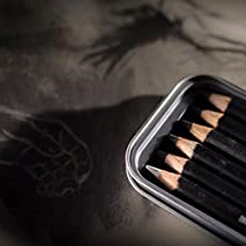 Derwent Charcoal Drawing Pencils, Drawing & Writing, Set Of 6 with Sharpener, Light, Medium, Dark & Tinted Charcoal White, Ideal For Blending & Smudging, Professional Quality, 0700838