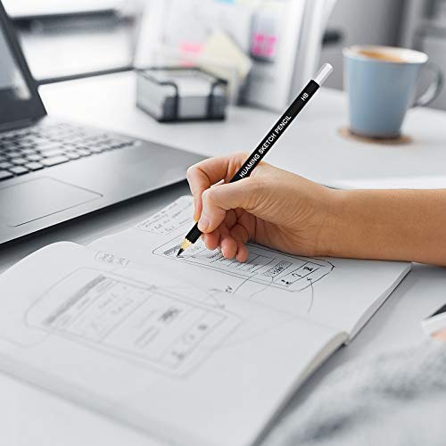 BROTOU 12Pcs Professional Sketch and Drawing Pencils Set, 2H H HB B 2B 4B 5B 6B 8B and 3Pcs Charcoal Art Pencils for Kids Adults Artists and Beginners