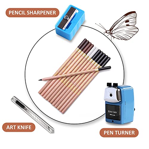 12Pcs Coloured Charcoal Pencil Set,4 Colors Charcoal Drawing Pencils Art Sketching Pencils Set for Artists Beginners Professionals Adults