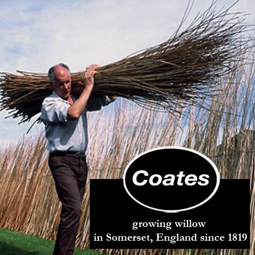 Global Art Materials Artist Art, natural willow charcoal, Black, Jumbo