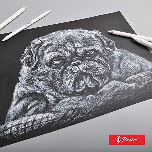 Pasler white charcoal pencils - Set of 3 pcs highlight sketch white pencil