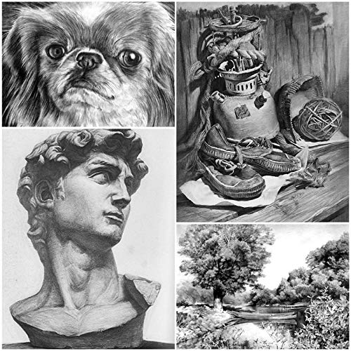 BROTOU 12Pcs Professional Sketch and Drawing Pencils Set, 2H H HB B 2B 4B 5B 6B 8B and 3Pcs Charcoal Art Pencils for Kids Adults Artists and Beginners