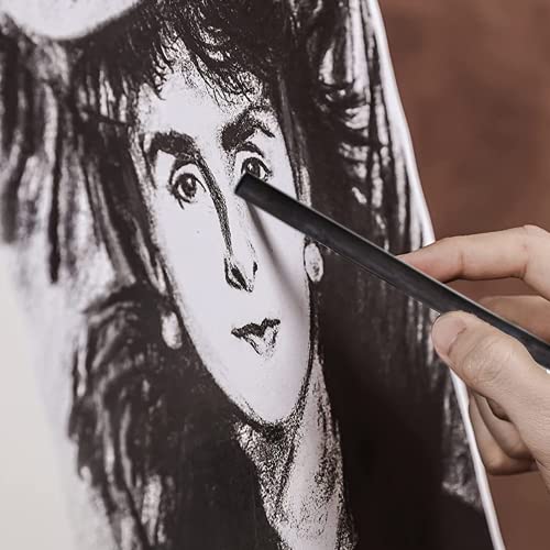 MINIEASE 25 Pcs Charcoal Drawing Pencils Willow Charcoal Sticks Graphite Sticks for Artists for Professionals Students and Hobbyists 5-8mm (millimeters, 5-8mm) (millimeters, 5-8mm)