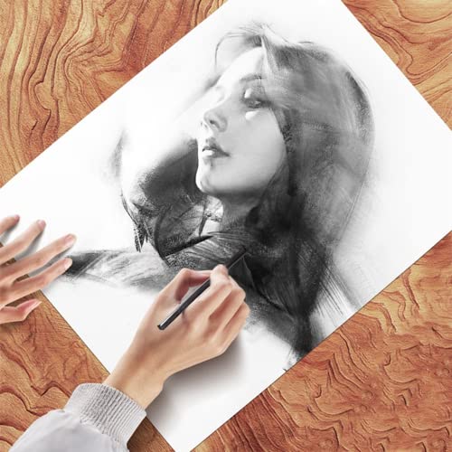 MINIEASE 25 Pcs Charcoal Drawing Pencils Willow Charcoal Sticks Graphite Sticks for Artists for Professionals Students and Hobbyists 5-8mm (millimeters, 5-8mm) (millimeters, 5-8mm)