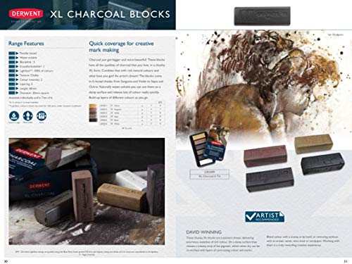Derwent XL Charcoal Drawing Blocks, Set Of 6, Water-Soluble, Ideal For Layering, Professional Quality, 2302009