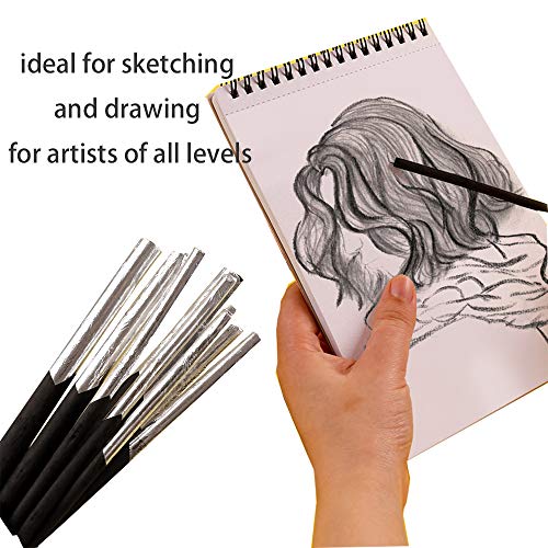 10pc Willow Vine Charcoal Sticks,Compressed Charcoal Sticks,Drawing Art Set, 4 Sizes Charcoal Drawing Art Set for Sketching, Drawing, Shading