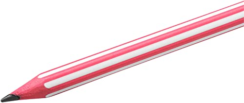 BIC Evolution Graphite Pencils - Box of 12 - HB Lead with Colourful Striped Design - Wood-Free and Splinter-Proof, Yellow,Green,Pink,Red,Black