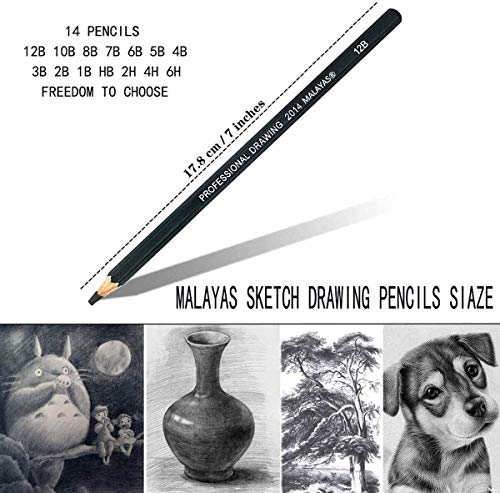 Malayas Drawing Sketch Pencil Set 14pcs Sketching Pencils 12B 10B 8B 7B 6B 5B 4B 3B 2B B HB 2H 4H 6H Graphite Pencils for Kid Adults Artists Student Beginners Professional
