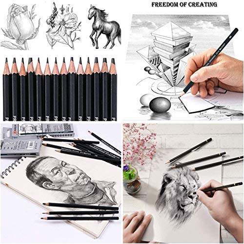 Malayas Drawing Sketch Pencil Set 14pcs Sketching Pencils 12B 10B 8B 7B 6B 5B 4B 3B 2B B HB 2H 4H 6H Graphite Pencils for Kid Adults Artists Student Beginners Professional