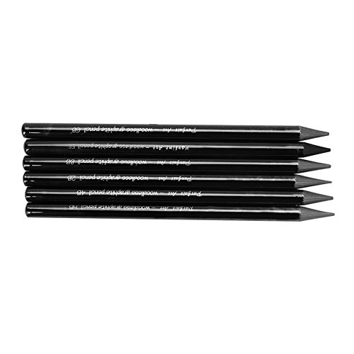 6 Pcs Graphite Pencils Medium Soft Charcoal Sticks Woodless Sketch Pencils Writing Drawing Pencil Artist Pencil Set Assorted HB 2B 4B 6B 8B EE Pencil for Students Beginners Aspiring Artist