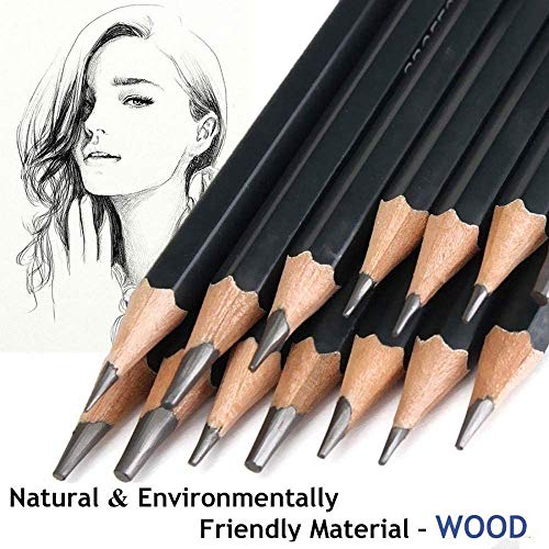 Malayas Drawing Sketch Pencil Set 14pcs Sketching Pencils 12B 10B 8B 7B 6B 5B 4B 3B 2B B HB 2H 4H 6H Graphite Pencils for Kid Adults Artists Student Beginners Professional