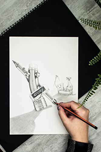 Eziglide HB Graphite School Pencil, Pack of 12 Hexagonal Pencils with Break Resistant Super Bonded HB Leads, Ideal for use at School in the Classroom, Home or the Office