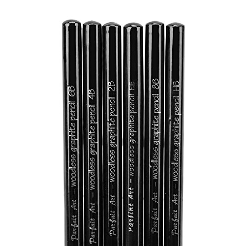 6 Pcs Graphite Pencils Medium Soft Charcoal Sticks Woodless Sketch Pencils Writing Drawing Pencil Artist Pencil Set Assorted HB 2B 4B 6B 8B EE Pencil for Students Beginners Aspiring Artist