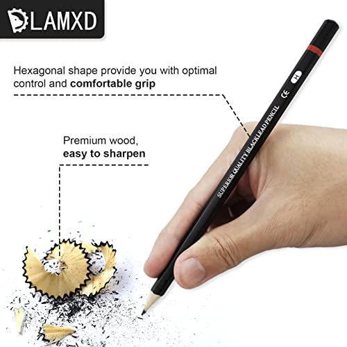 12 Pcs Drawing Pencils 8B, 7B, 6B, 5B, 4B, 3B, 2B, B, HB, F, H, 2H, Sketching Pencils with Graphite Lead