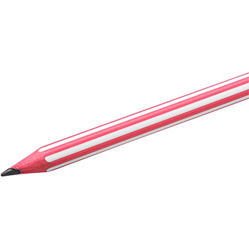 BIC Evolution Graphite Pencils - Pack of 8 - HB Pencils with Eraser - Colourful Stripe Design and Shock-Resistant Lead