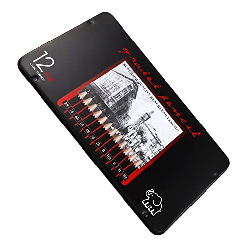 SZCXDKJ 12 Pcs Pencils for Drawing 8B, 7B, 6B, 5B, 4B, 3B, 2B, B, HB, F, H, 2H, Sketching Pencils with Graphite Lead