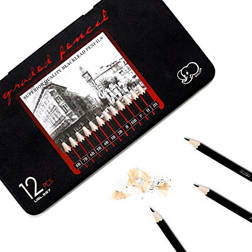 Professional Sketch and Drawing pencils set,Art Pencil(8B-2H). (12-Count)