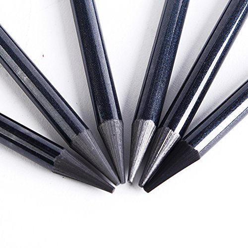 6 Packed Woodless Graphite Pencil, Charcoal Sticks Soft Pencil Set, No Wood Pencils HB 2B 4B 6B 8B EE for Artist Beginner Graphite Drawing Writing Doodling Gift