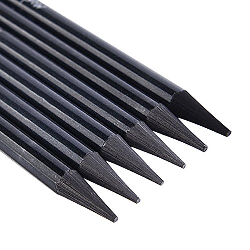 6 Packed Woodless Graphite Pencil, Charcoal Sticks Soft Pencil Set, No Wood Pencils HB 2B 4B 6B 8B EE for Artist Beginner Graphite Drawing Writing Doodling Gift