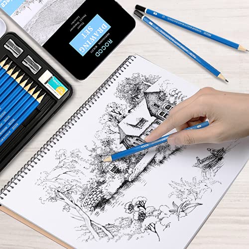 ROCOD Profession sketch pencils 6B to 4H for kids and aldult drawing,Art graphite pencil for artists beginner sketching.