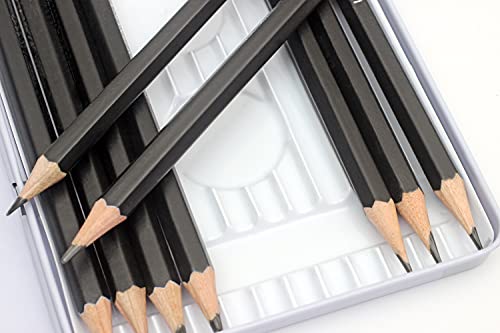 Liquidraw Drawing Pencils Set of 12, Graded Pencils For Artists, Sketching, Art, Sketch (8B-2H) Graphite Hard & Soft Pencil Set