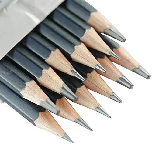 Malayas Drawing Sketch Pencil Set 14pcs Sketching Pencils 12B 10B 8B 7B 6B 5B 4B 3B 2B B HB 2H 4H 6H Graphite Pencils for Kid Adults Artists Student Beginners Professional